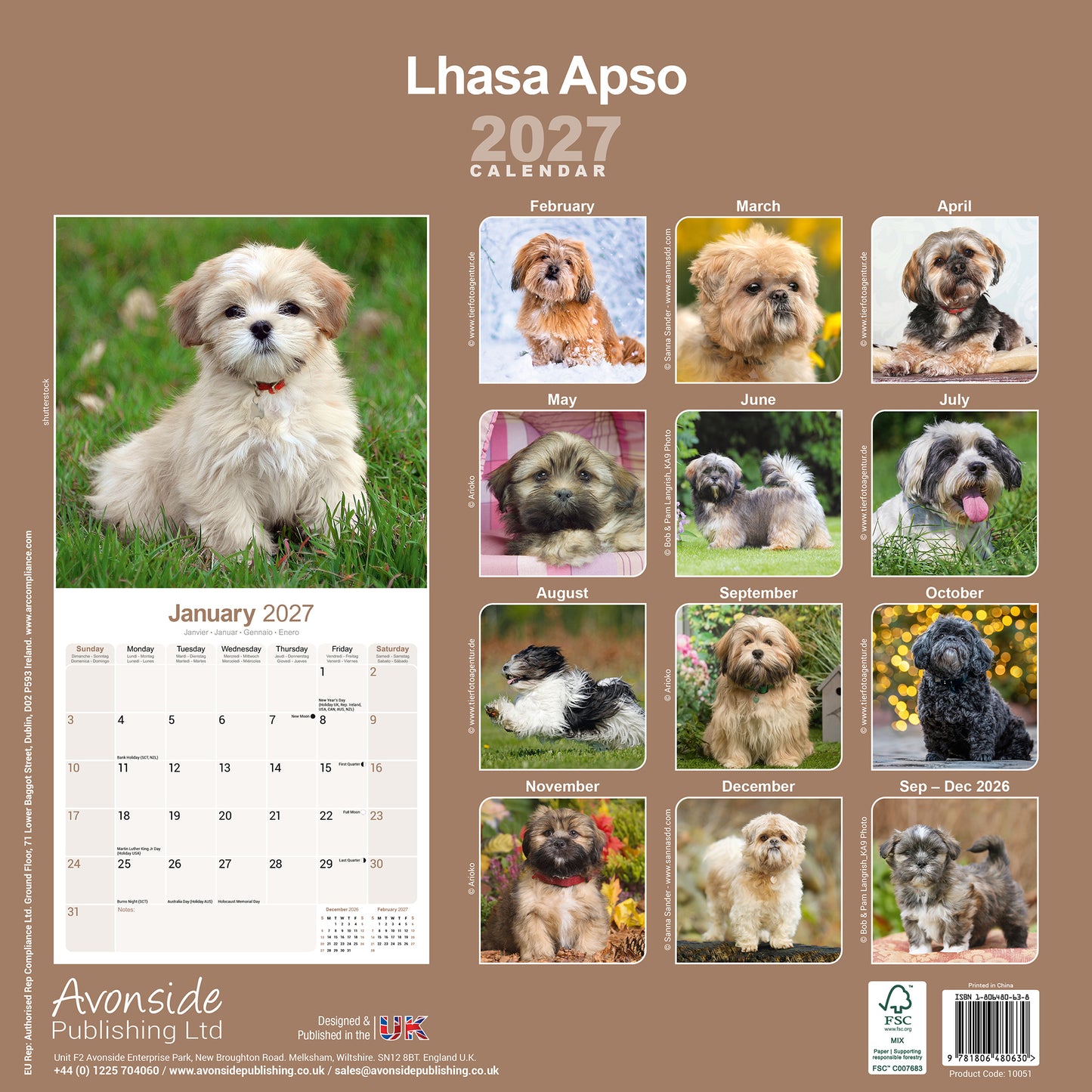 Lhasa Apso Wall Calendar 2027