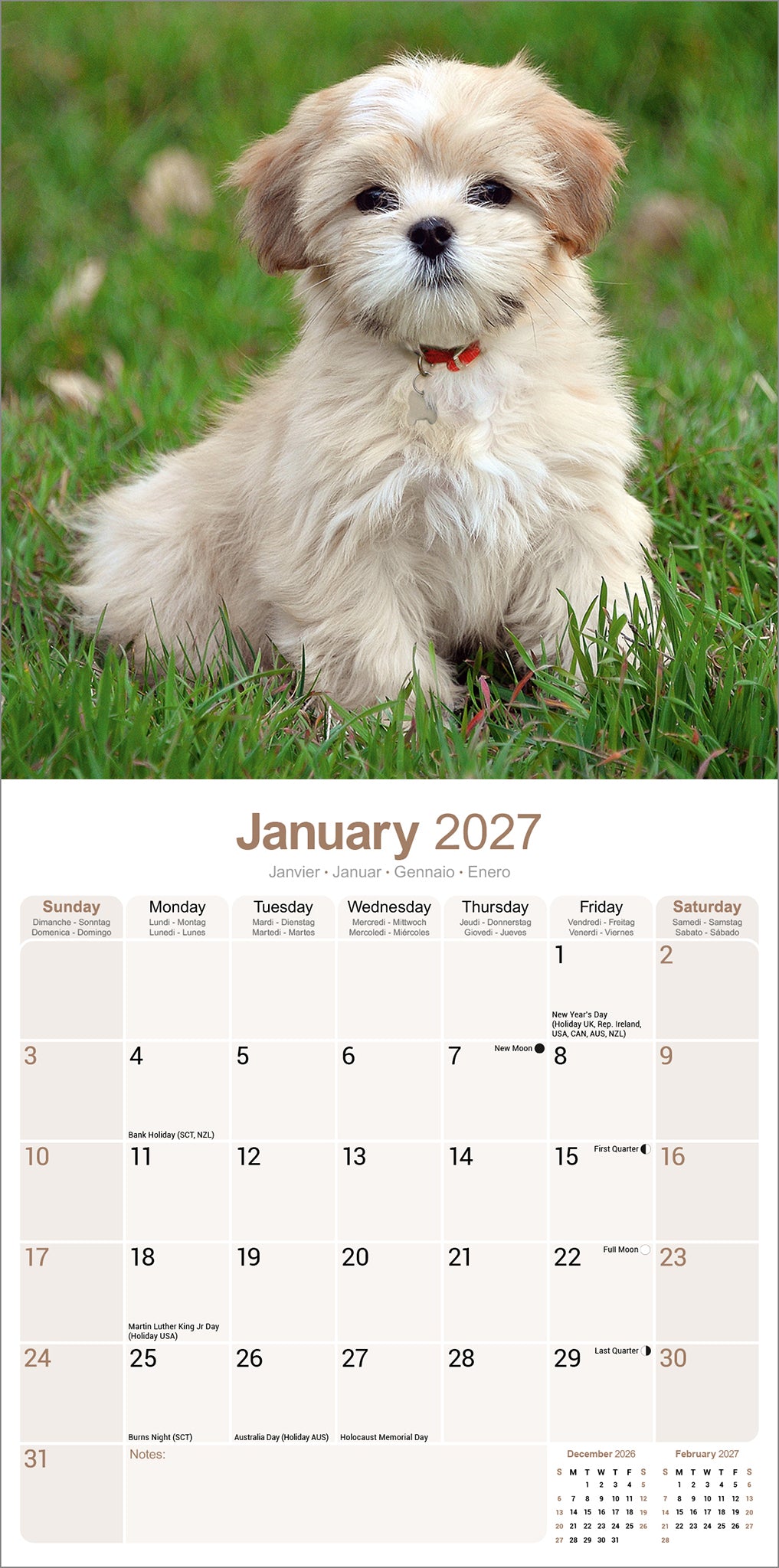 Lhasa Apso Wall Calendar 2027