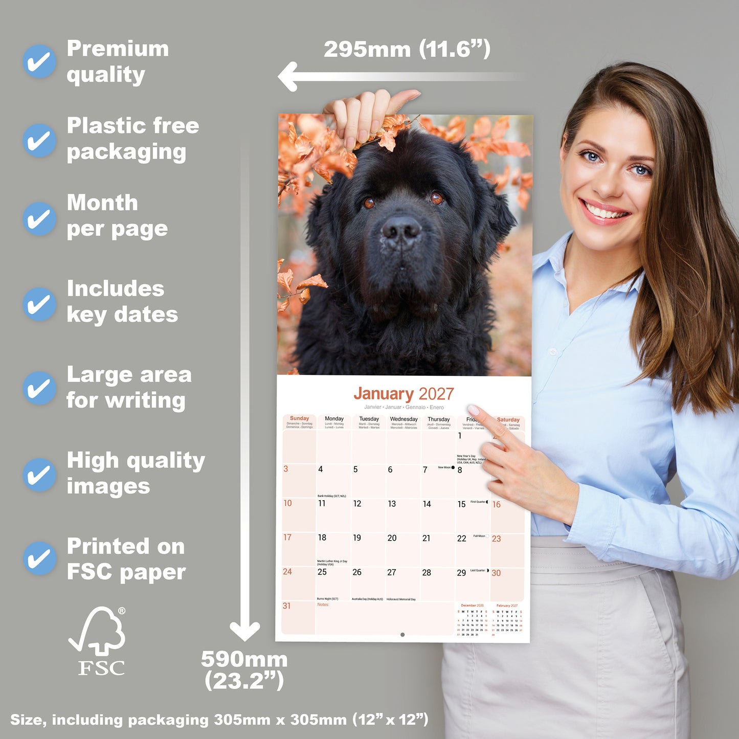 Newfoundland Wall Calendar 2027