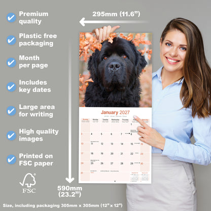 Newfoundland Wall Calendar 2027