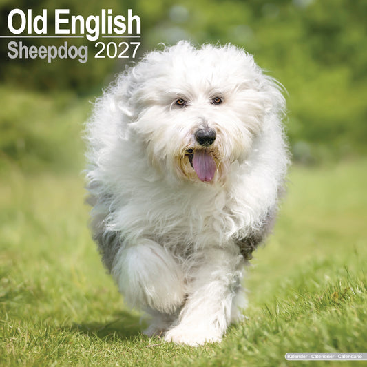 Old English Sheepdog Wall Calendar 2027