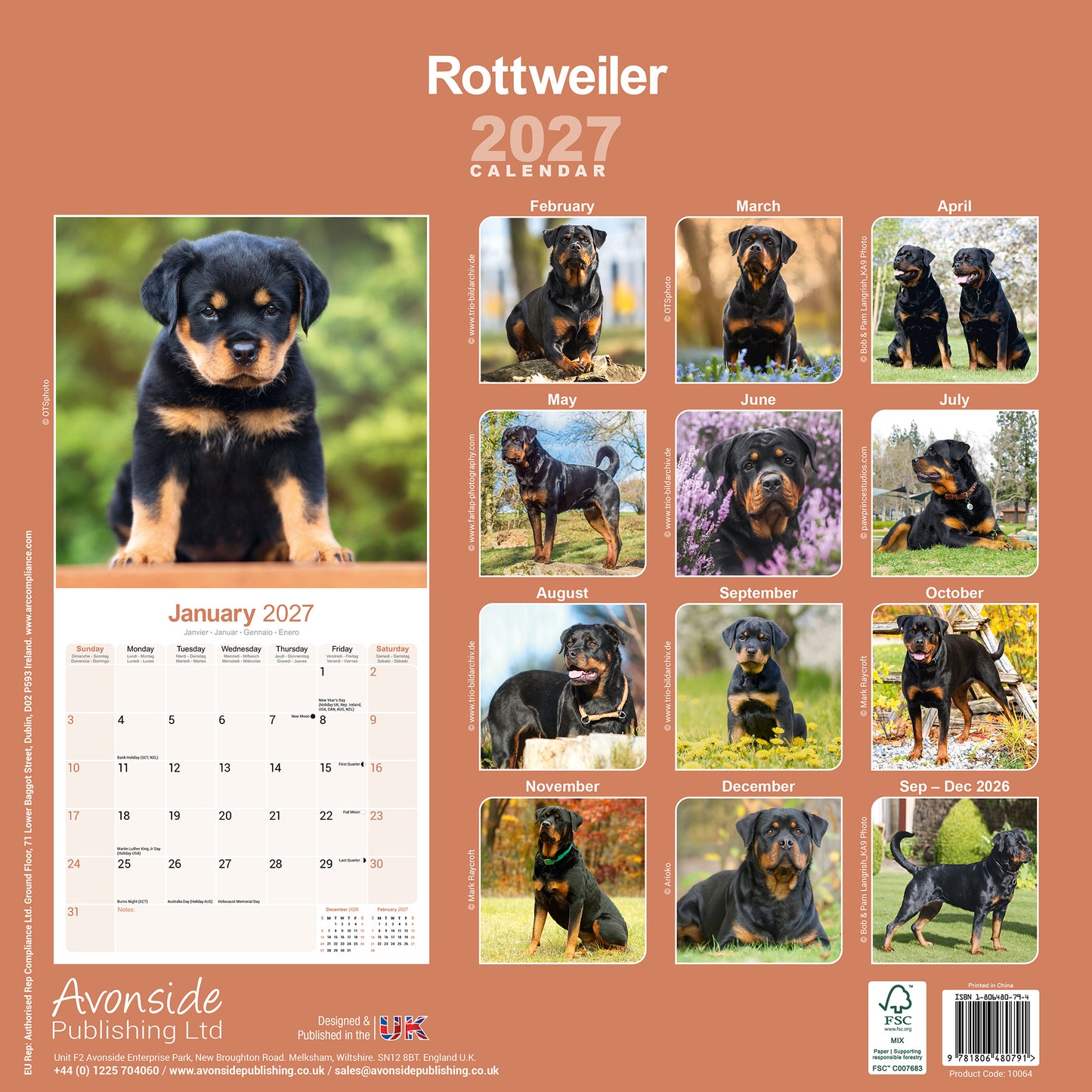 Rottweiler Wall Calendar 2027