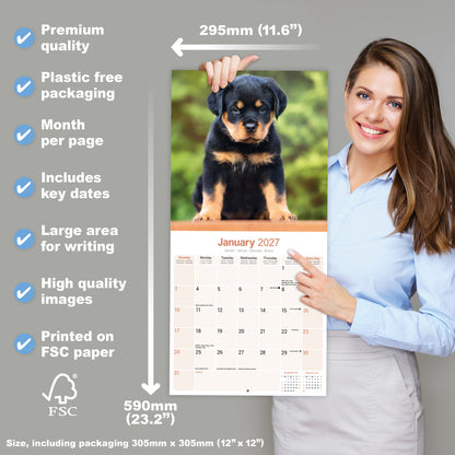 Rottweiler Wall Calendar 2027