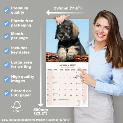 Schnauzer Wall Calendar 2027