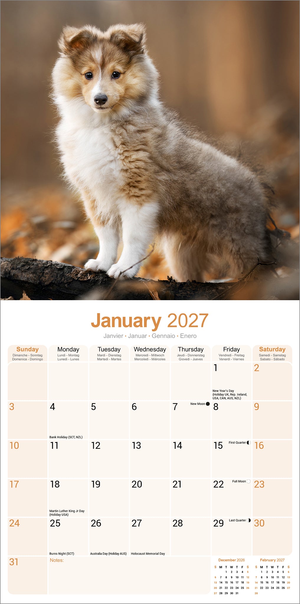 Shetland Sheepdog Wall Calendar 2027