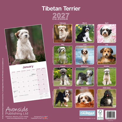 Tibetan Terrier Wall Calendar 2027