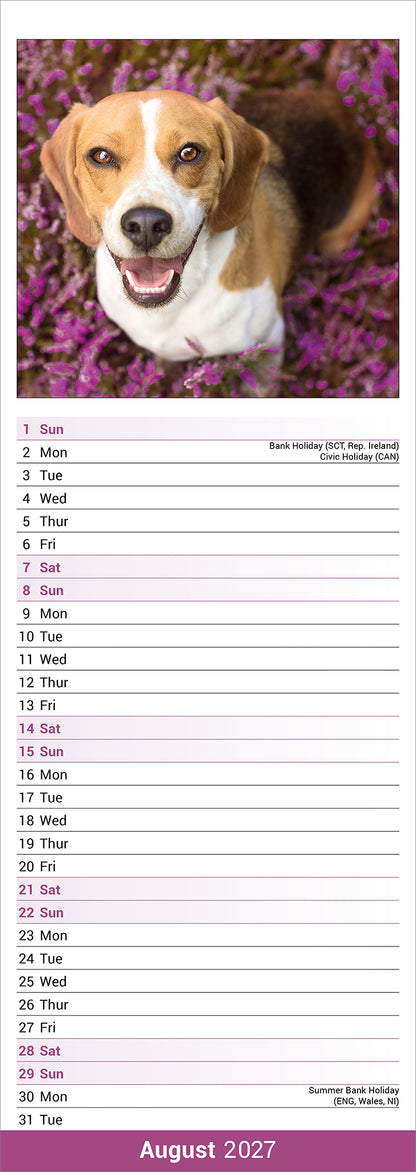 Beagle Slim Calendar 2027