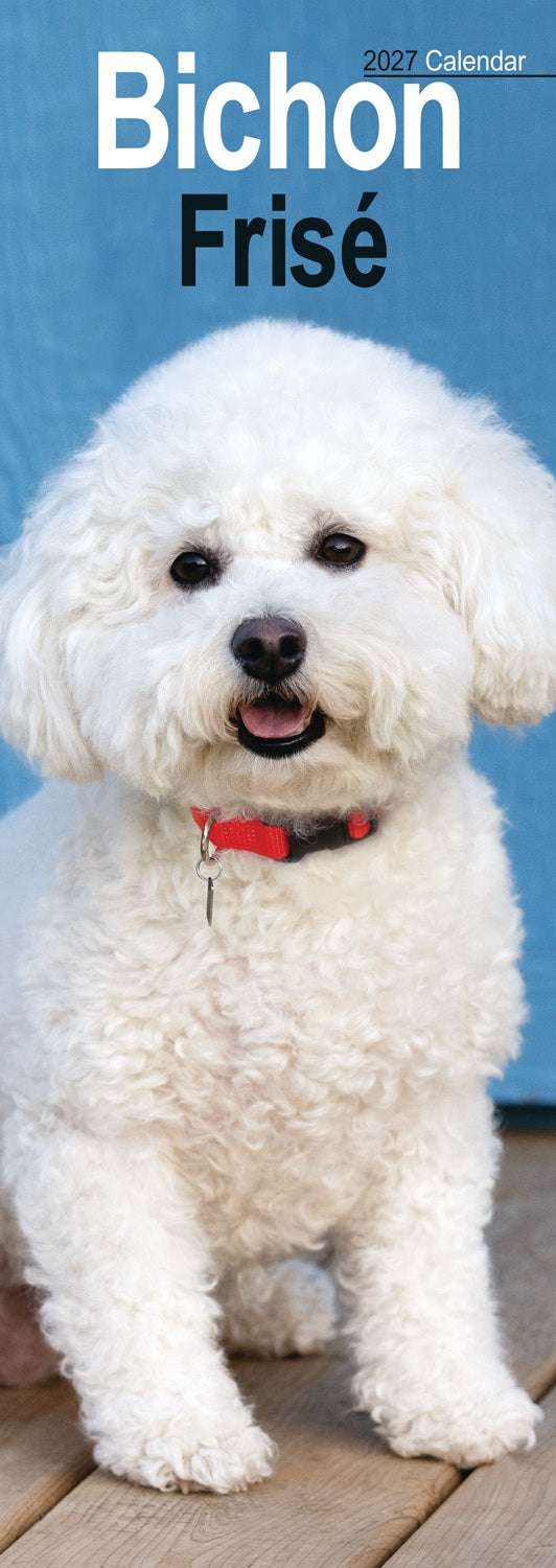 Bichon Frise Slim Calendar 2027
