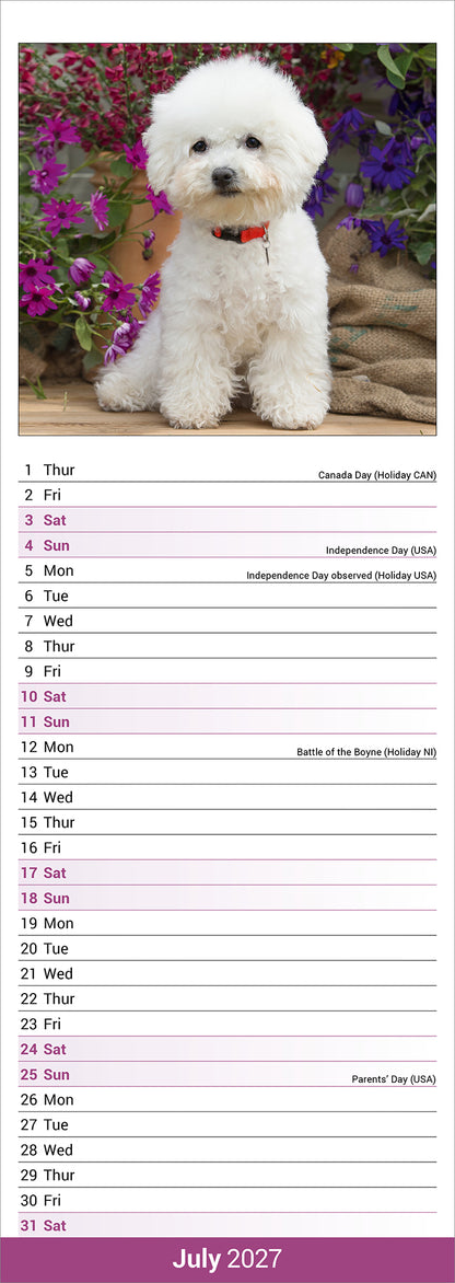 Bichon Frise Slim Calendar 2027