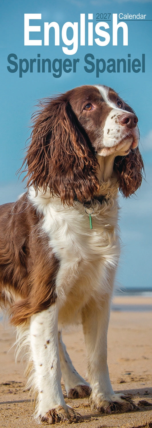 English Springer Spaniel Slim Calendar 2027