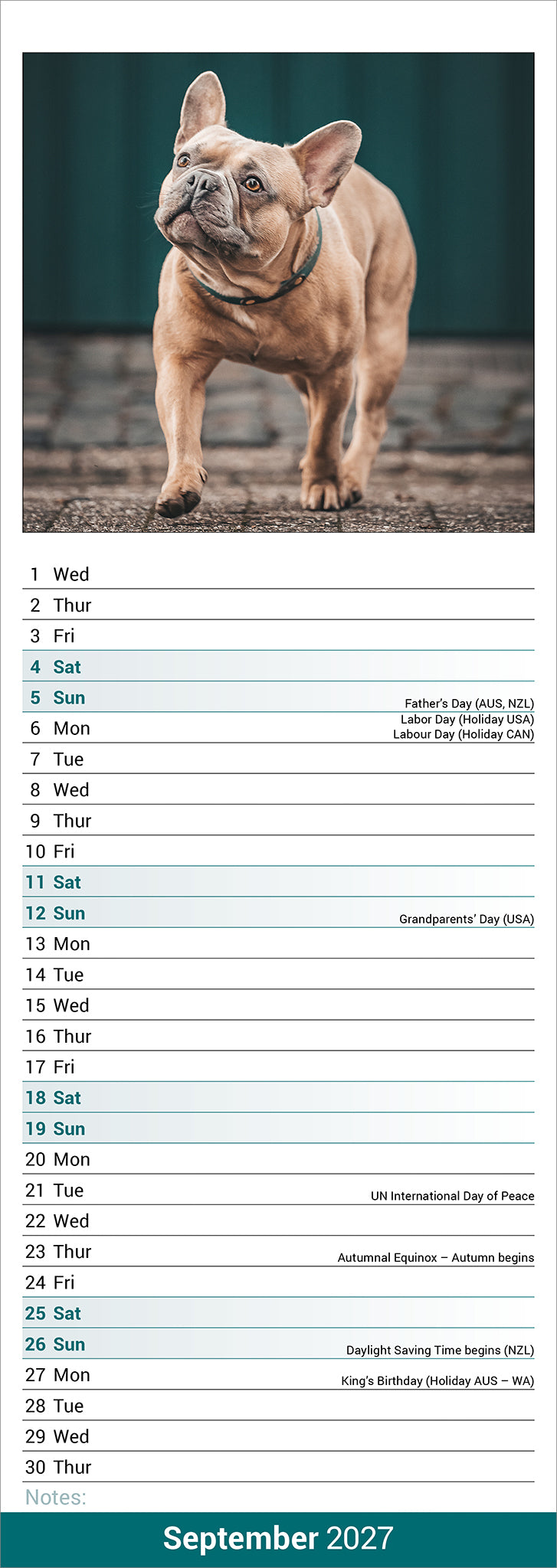 French Bulldog Slim Calendar 2027
