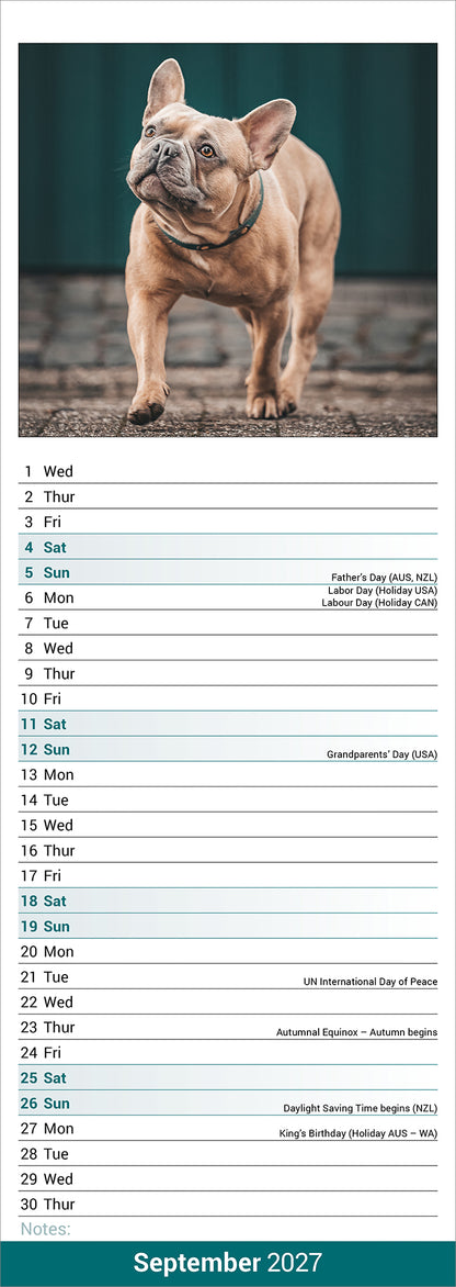 French Bulldog Slim Calendar 2027