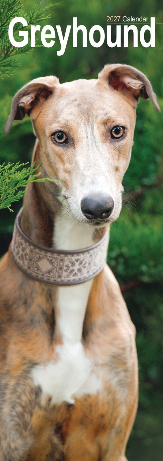 Greyhound Slim Calendar 2027