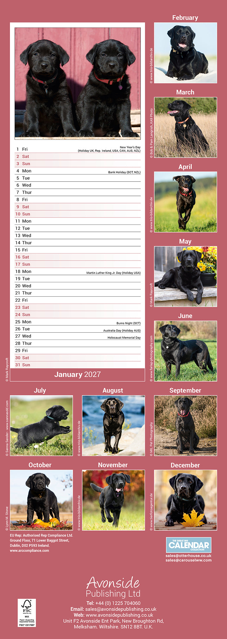 Labrador Retriever Black Slim Calendar 2027