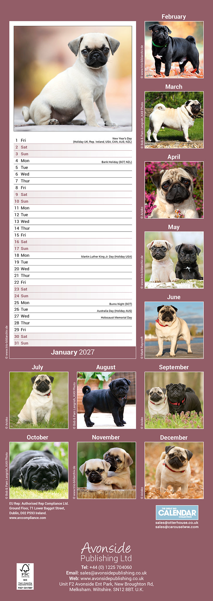 Pug Slim Calendar 2027