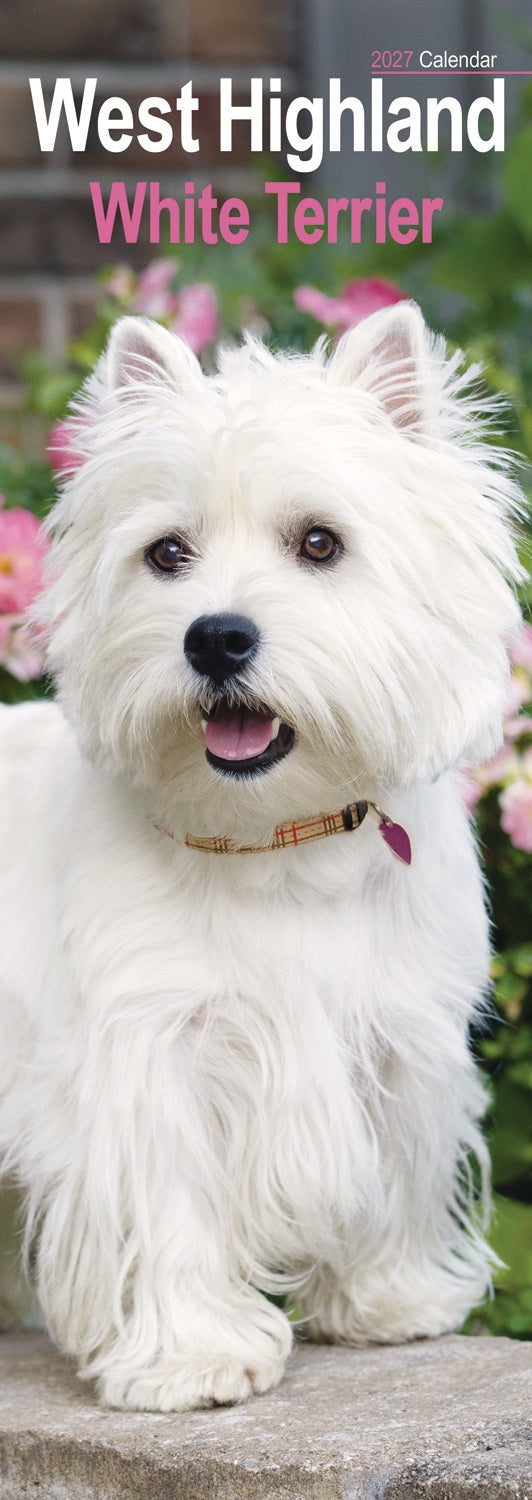 West Highland White Terrier Slim Calendar 2027