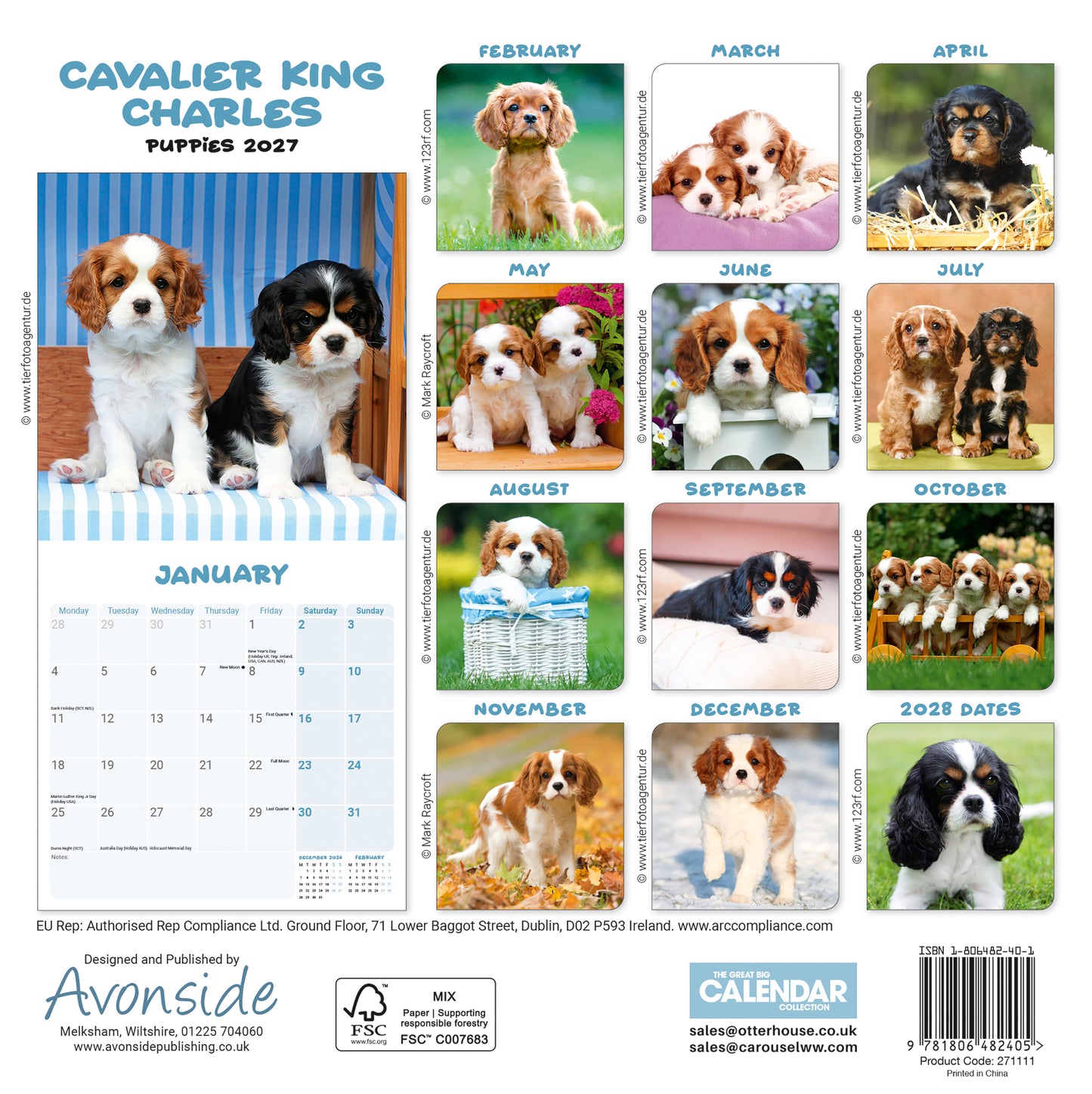 Cavalier King Charles Spaniel Puppies Mini Calendar 2027