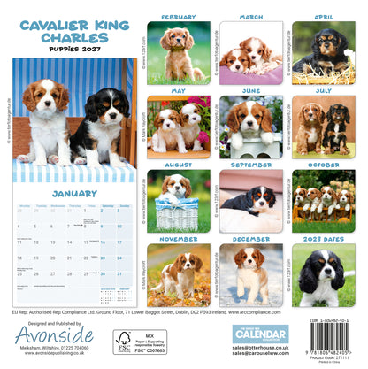 Cavalier King Charles Spaniel Puppies Mini Calendar 2027