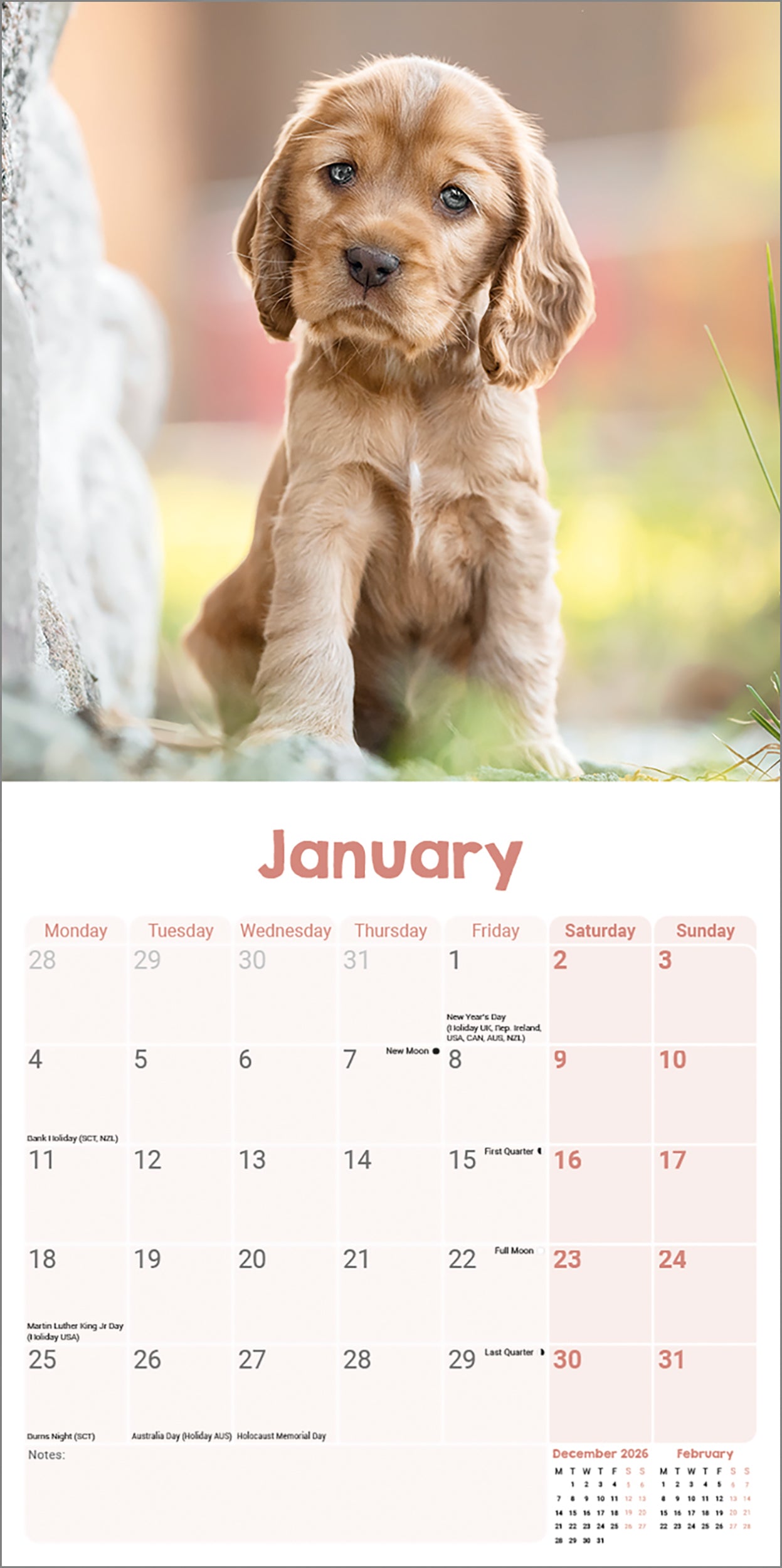 English Cocker Spaniel Puppies Mini Calendar 2027