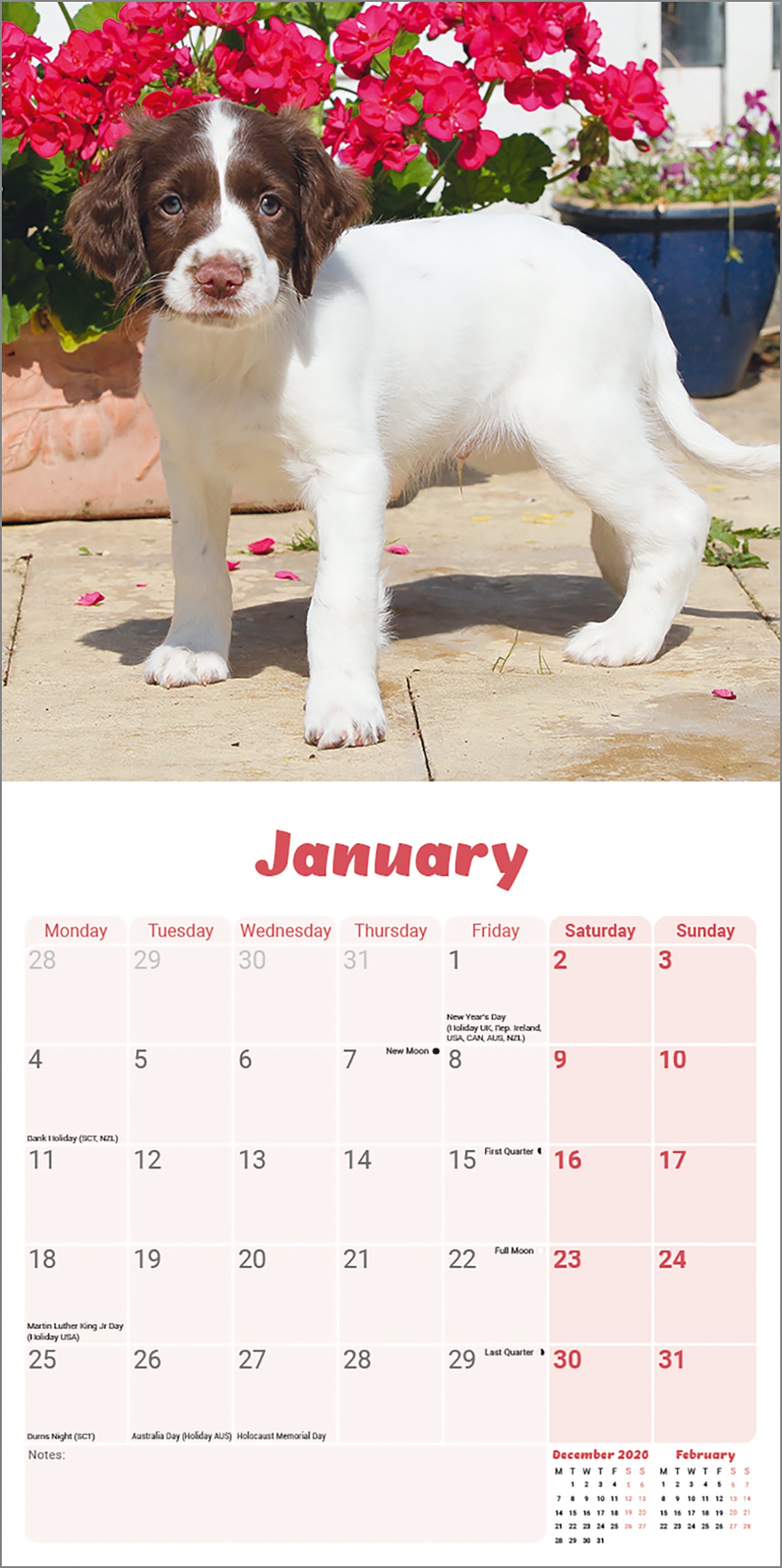 English Springer Spaniel Puppies Mini Calendar 2027