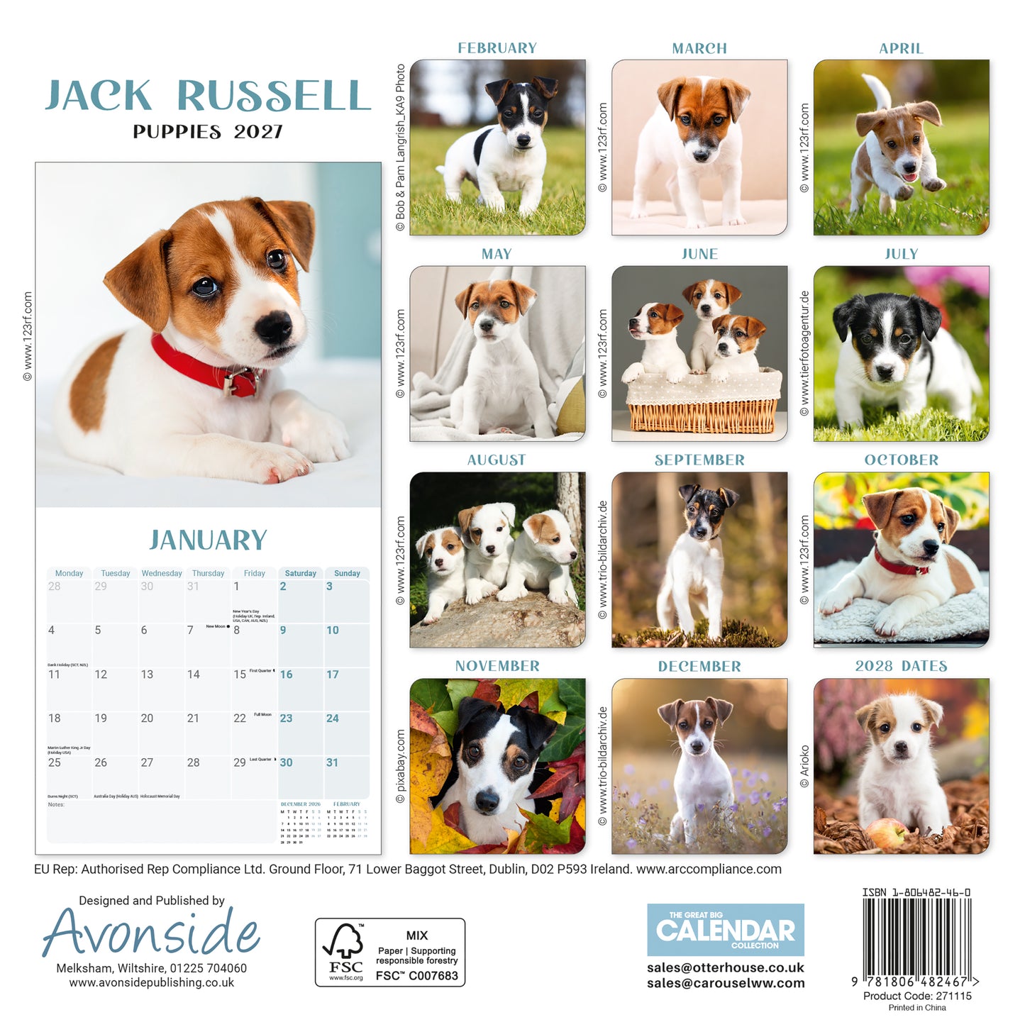 Jack Russell Puppies Mini Calendar 2027