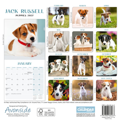 Jack Russell Puppies Mini Calendar 2027
