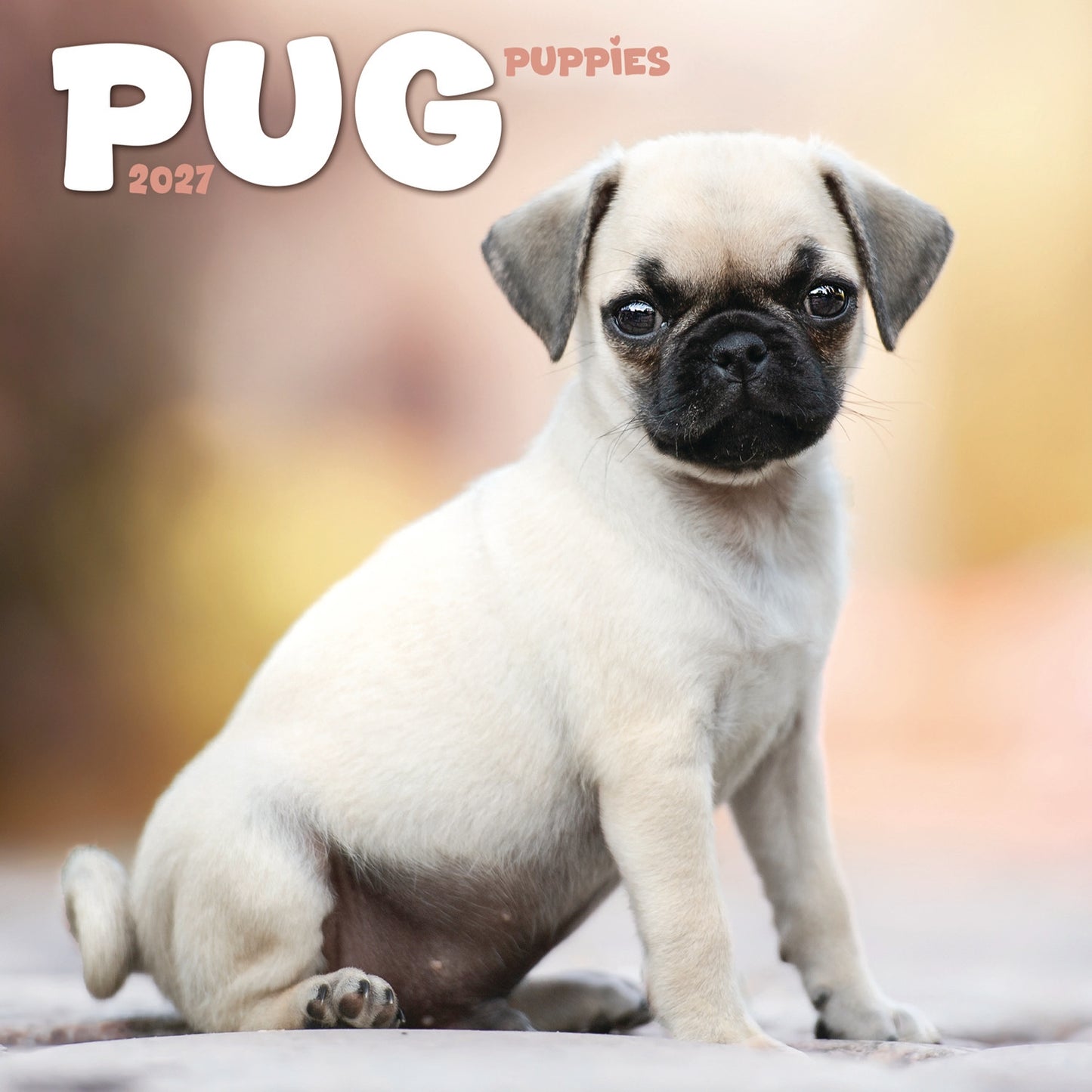 Pug Puppies Mini Calendar 2027