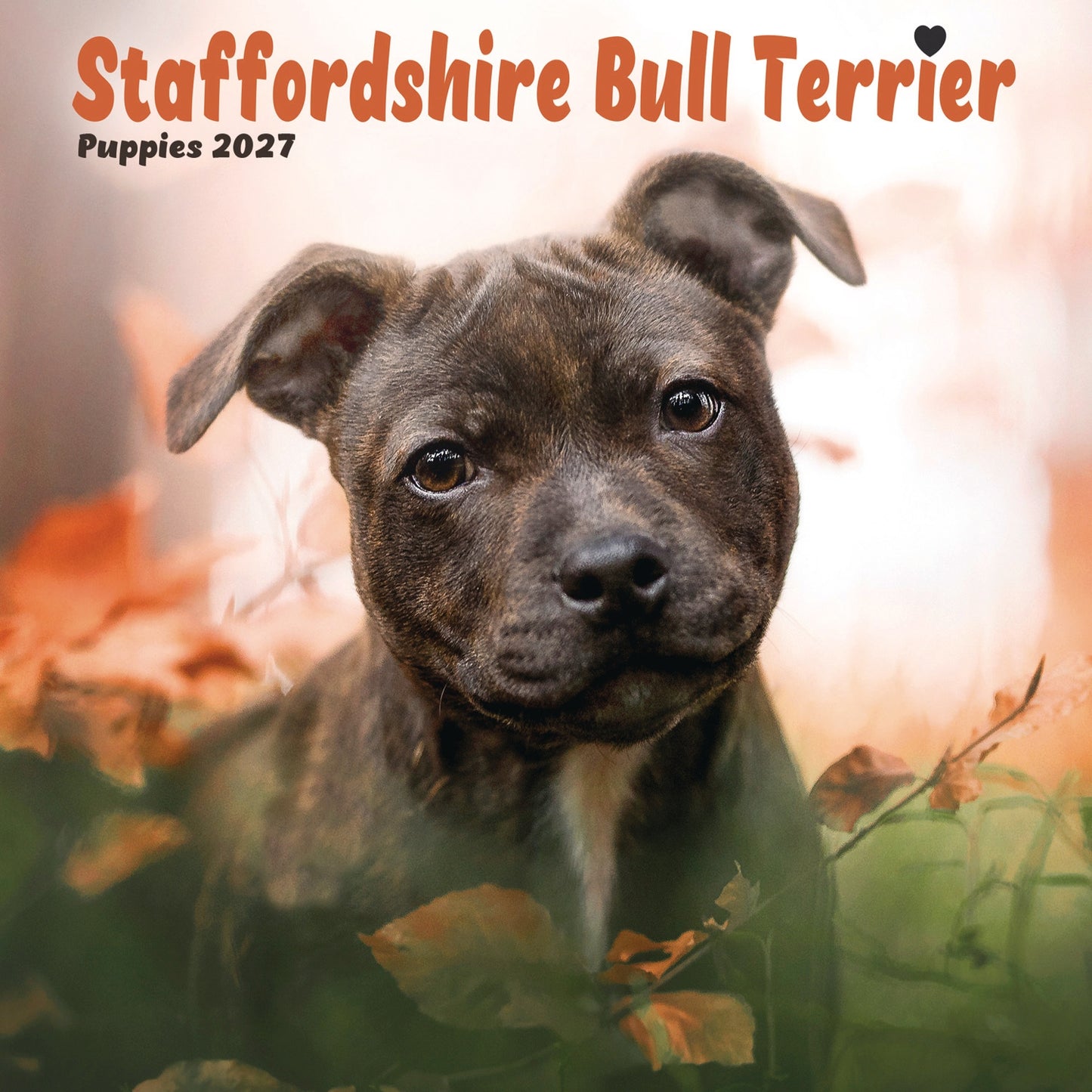 Staffordshire Bull Terrier Puppies Mini Calendar 2027