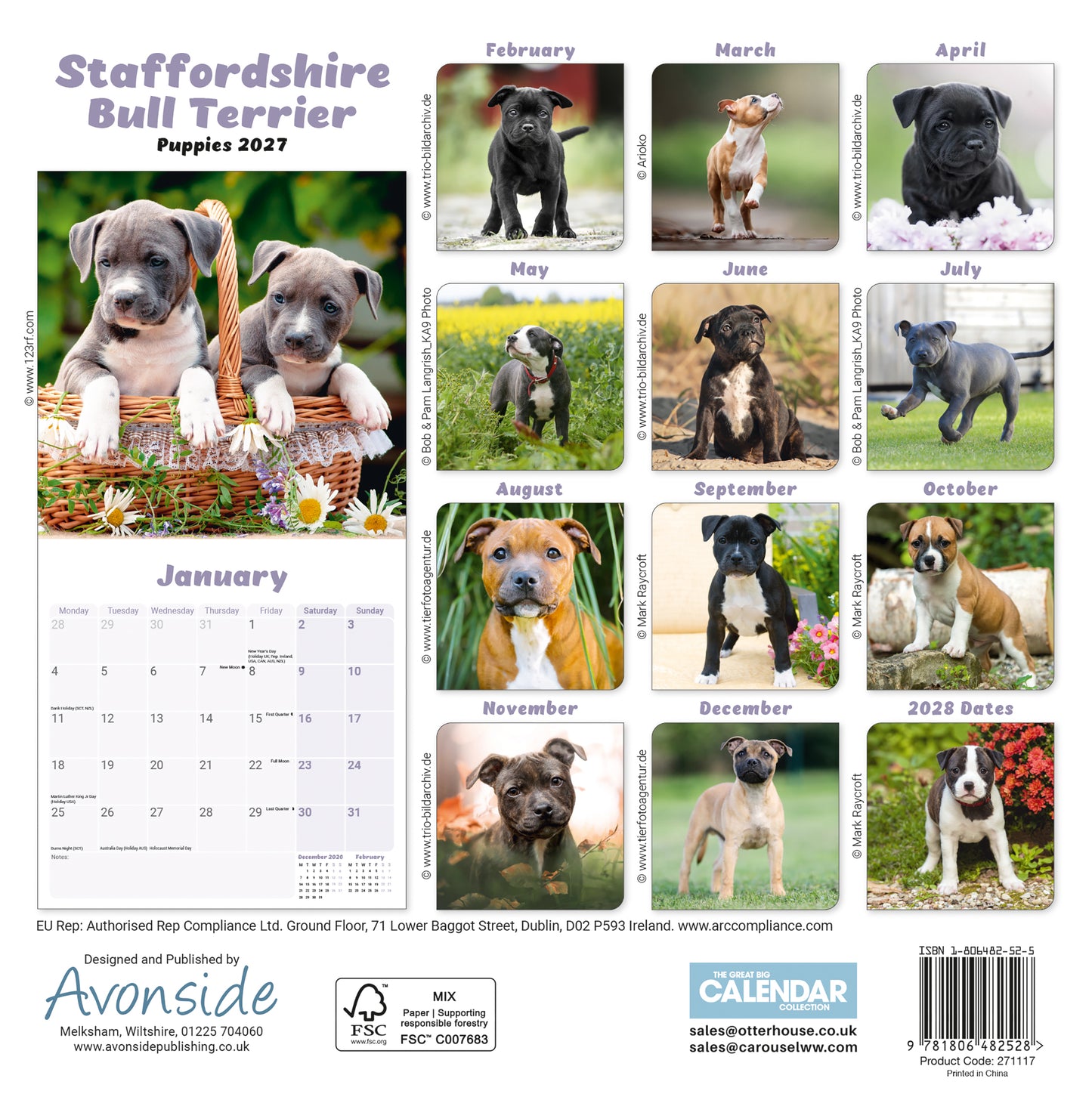 Staffordshire Bull Terrier Puppies Mini Calendar 2027
