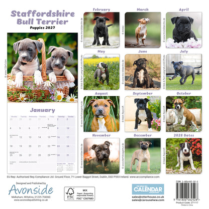 Staffordshire Bull Terrier Puppies Mini Calendar 2027