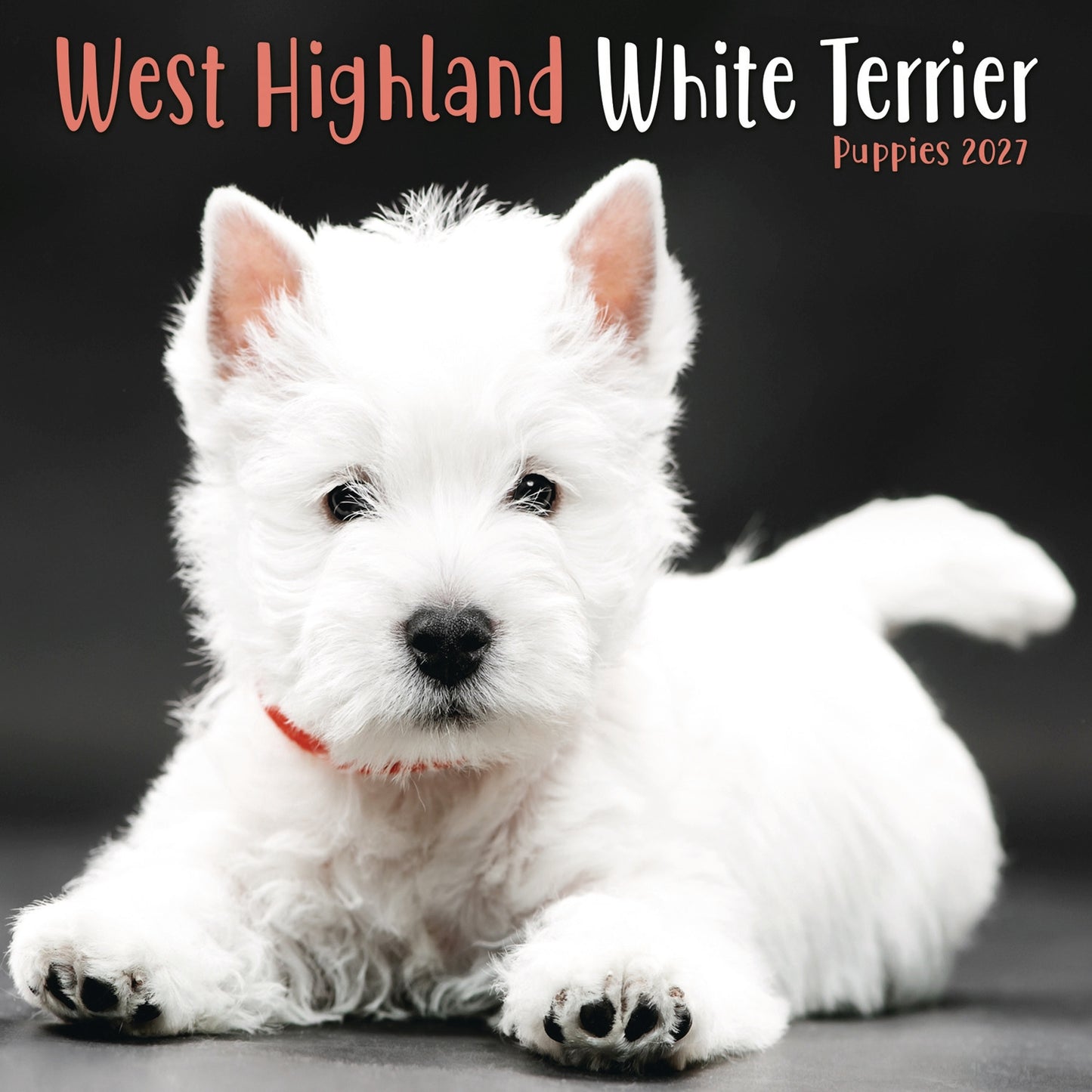 West Highland White Terrier Puppies Mini Calendar 2027
