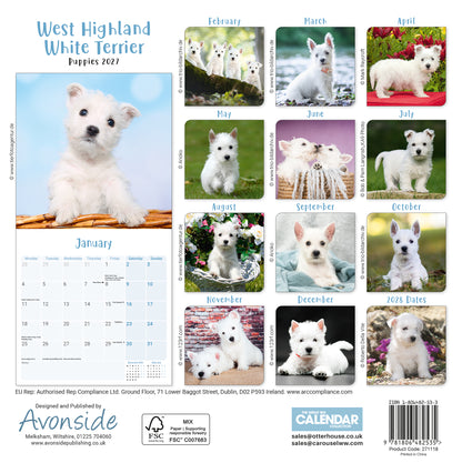 West Highland White Terrier Puppies Mini Calendar 2027