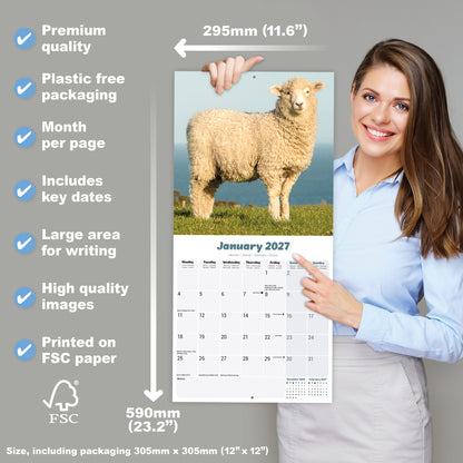 Sheep Wall Calendar 2027