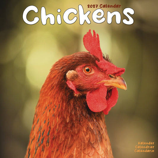 Chickens Wall Calendar 2027