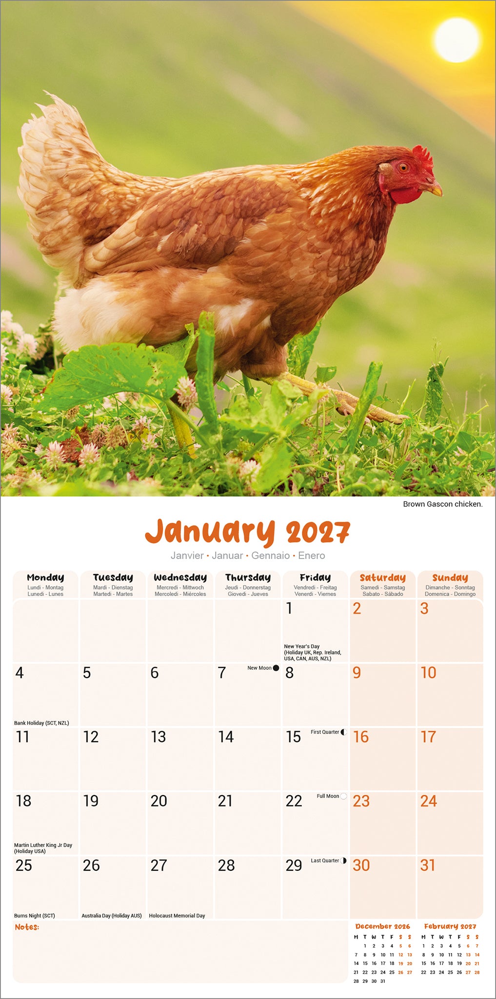 Chickens Wall Calendar 2027