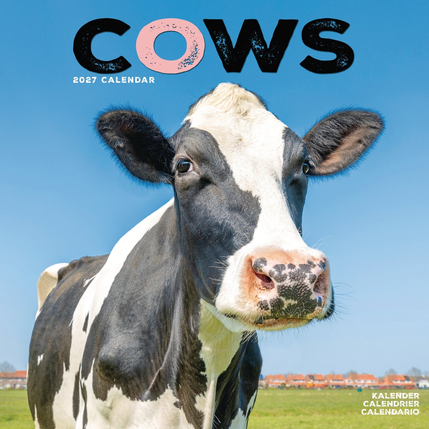 Cows Wall Calendar 2027