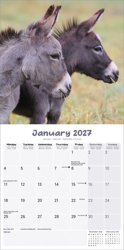 Donkeys Wall Calendar 2027