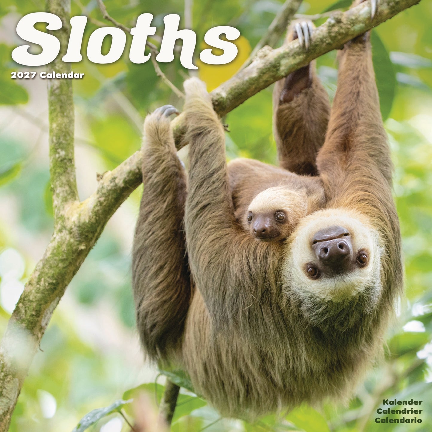 Sloths Wall Calendar 2027