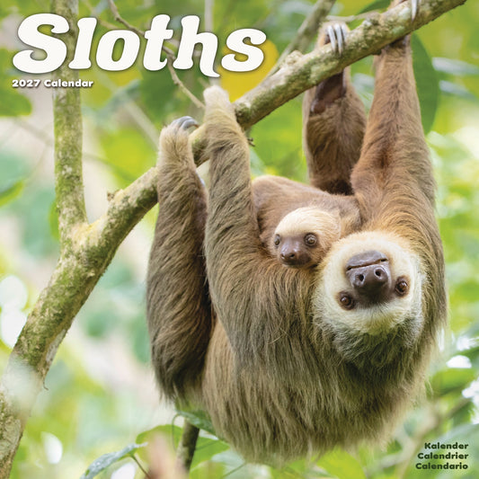 Sloths Wall Calendar 2027