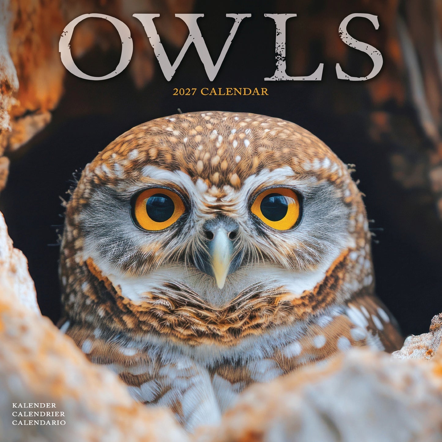 Owls Wall Calendar 2027