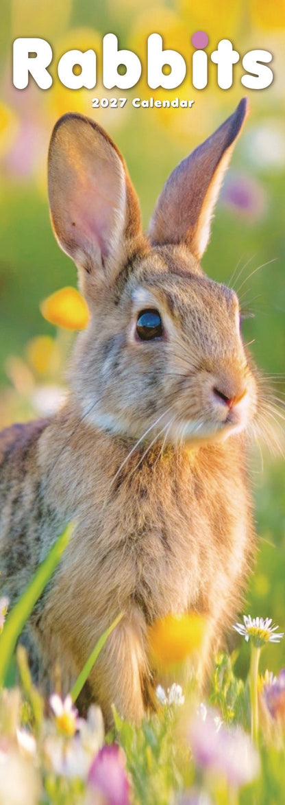 Rabbits Slim Calendar 2027