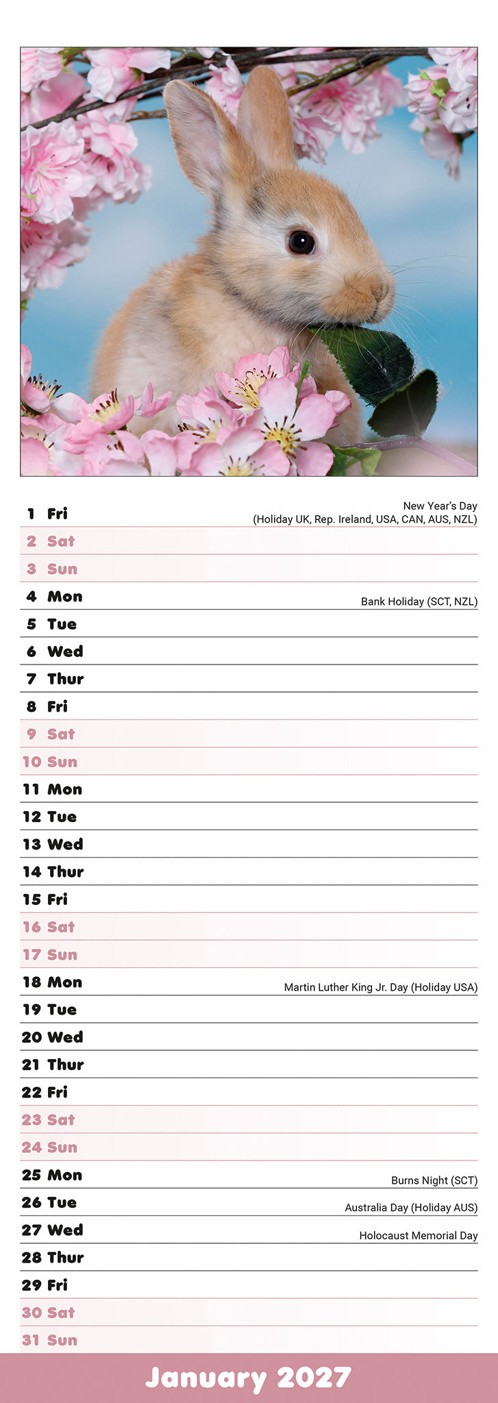 Rabbits Slim Calendar 2027