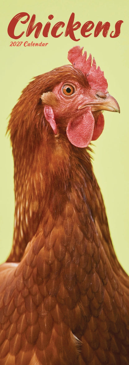Chickens Slim Calendar 2027