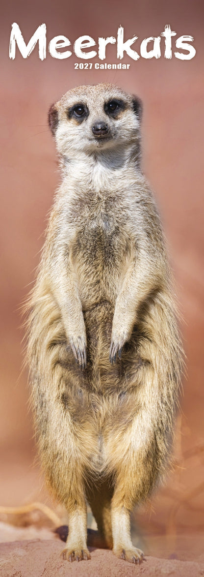 Meerkats Slim Calendar 2027