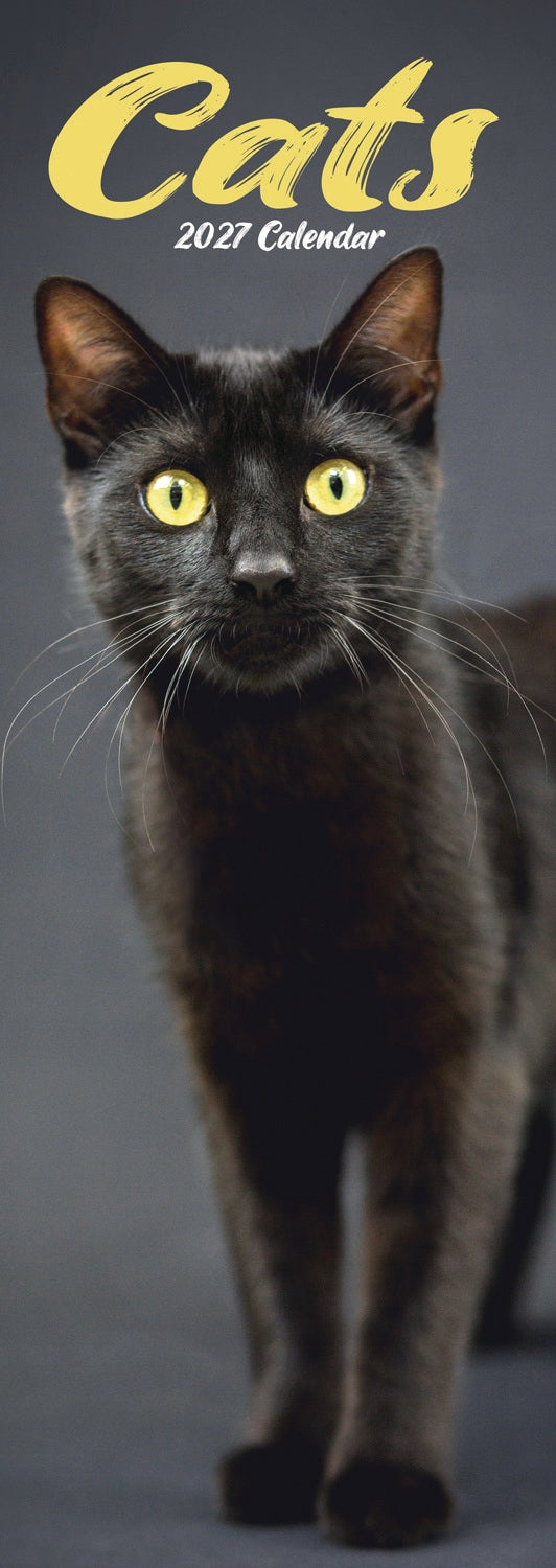 Cats Slim Calendar 2027