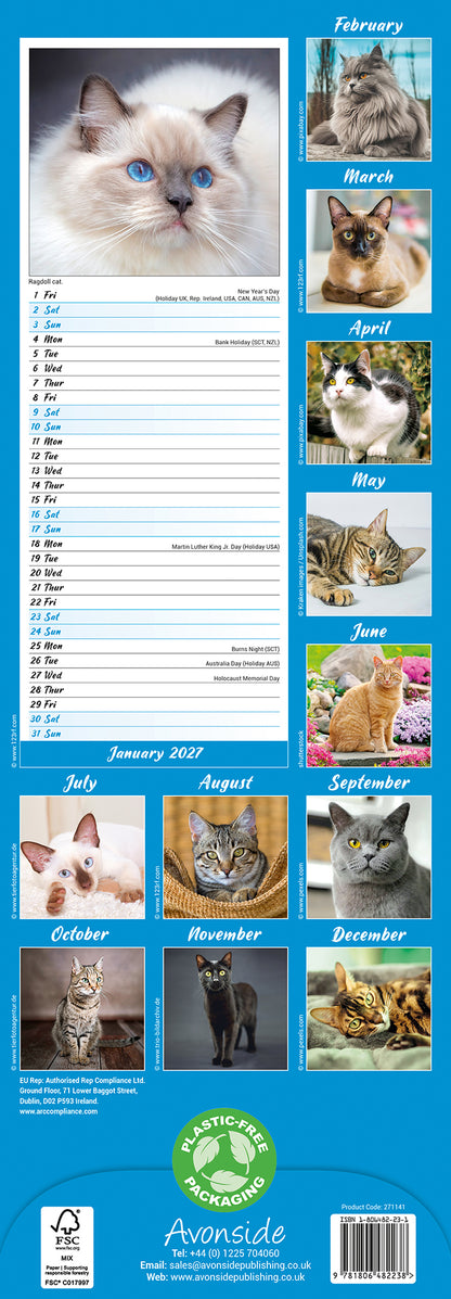 Cats Slim Calendar 2027