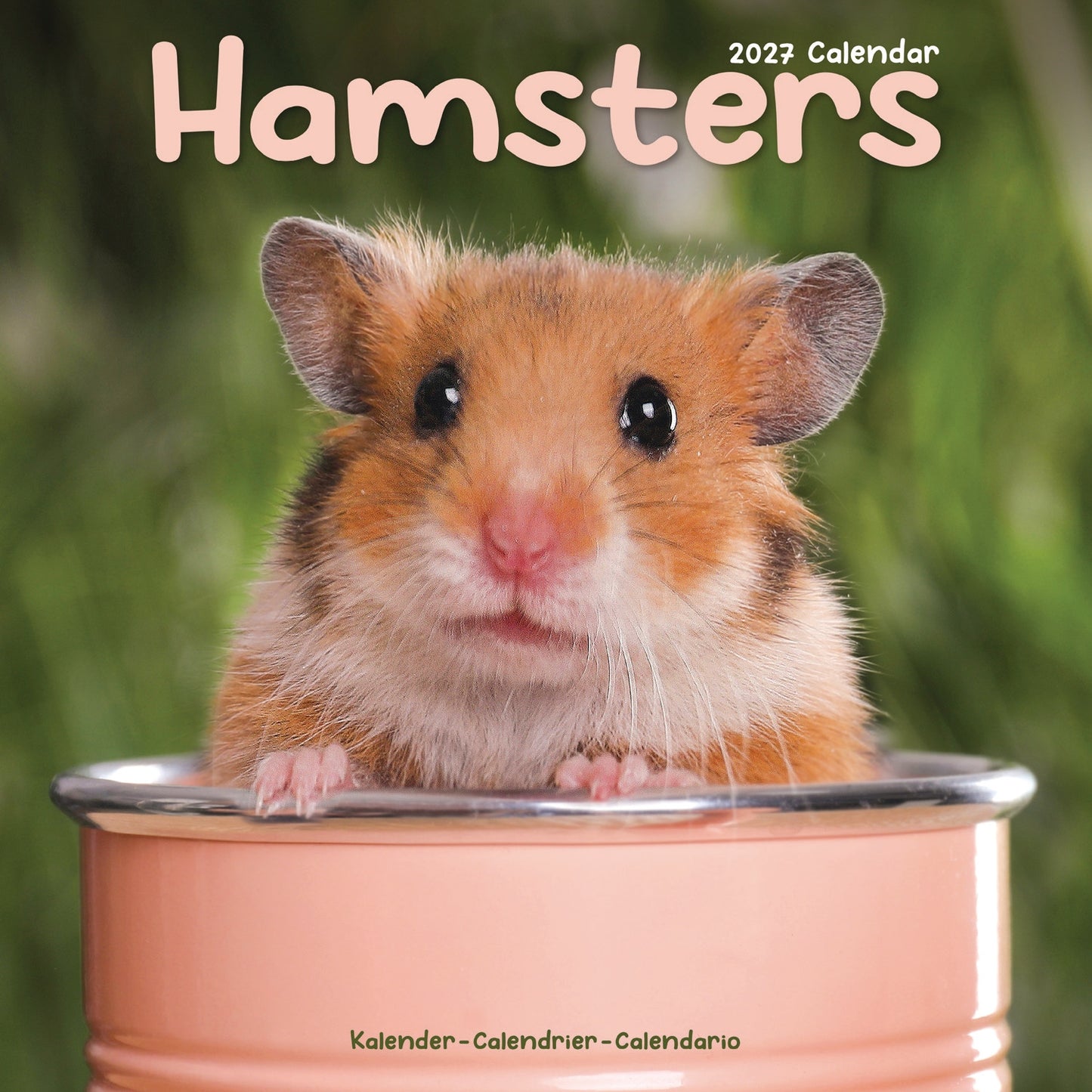 Hamsters Wall Calendar 2027