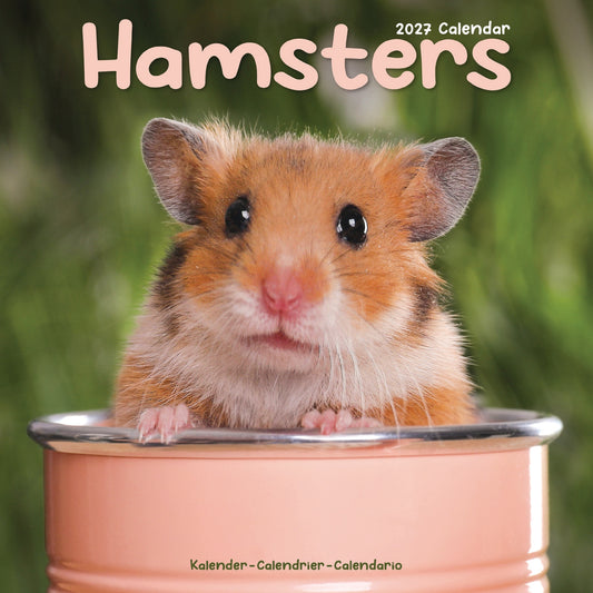 Hamsters Wall Calendar 2027