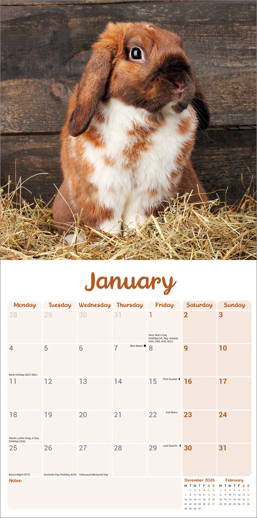 Lop eared Rabbits Wall Calendar 2027