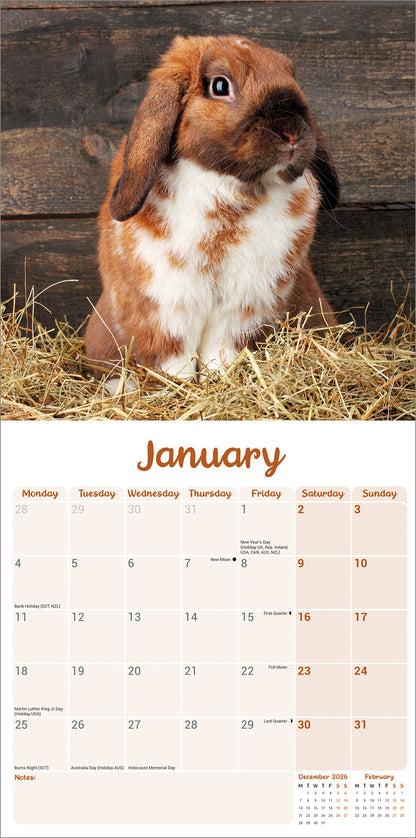 Lop eared Rabbits Wall Calendar 2027